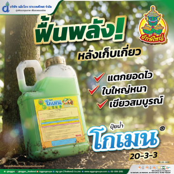 โกเมน